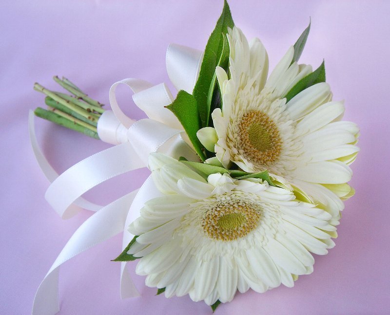 white gerbera daisy bouquet