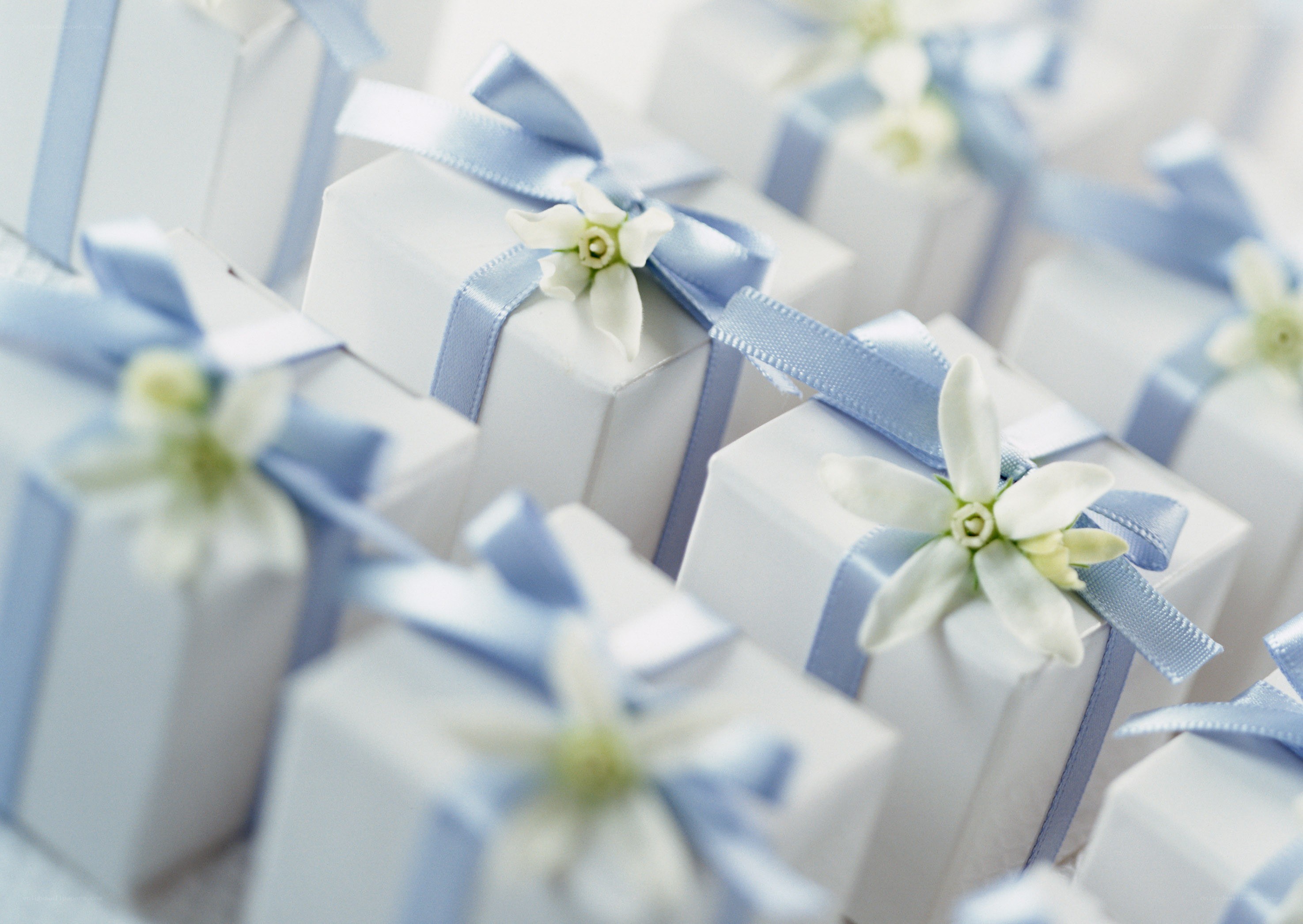 White gift boxes with blue ribbons