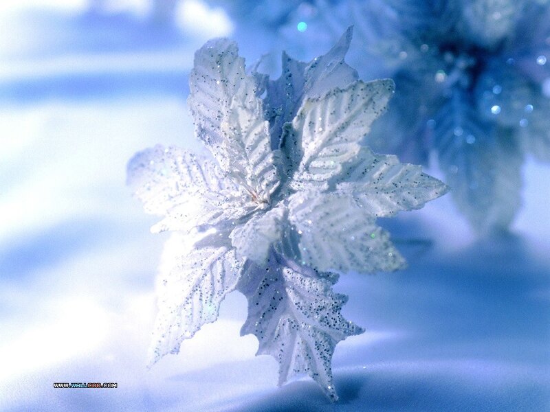 White Glittery Flower