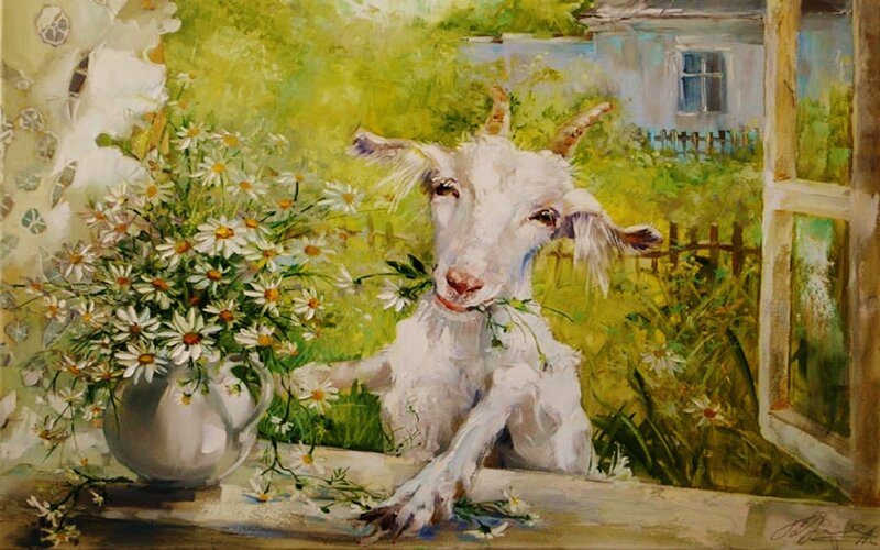 White Goat Eating Flowers