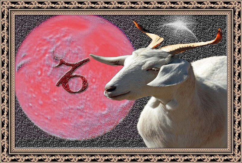 White Goat with Red Moon