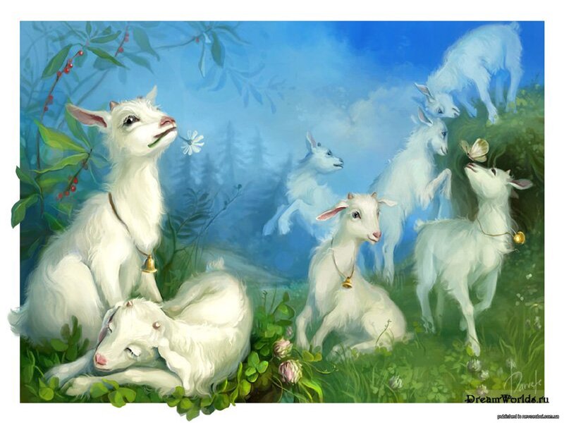 White Goats in Meadow — Blue
