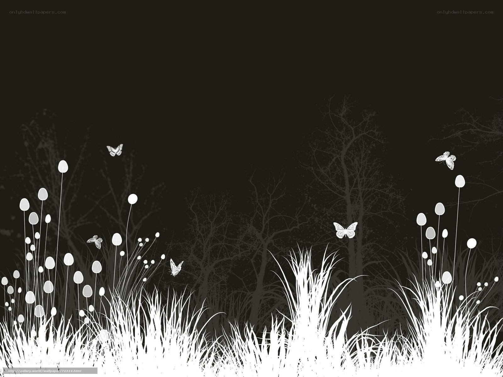 white grass and butterflies
