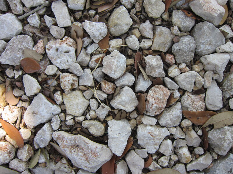 White Gravel with Leaves