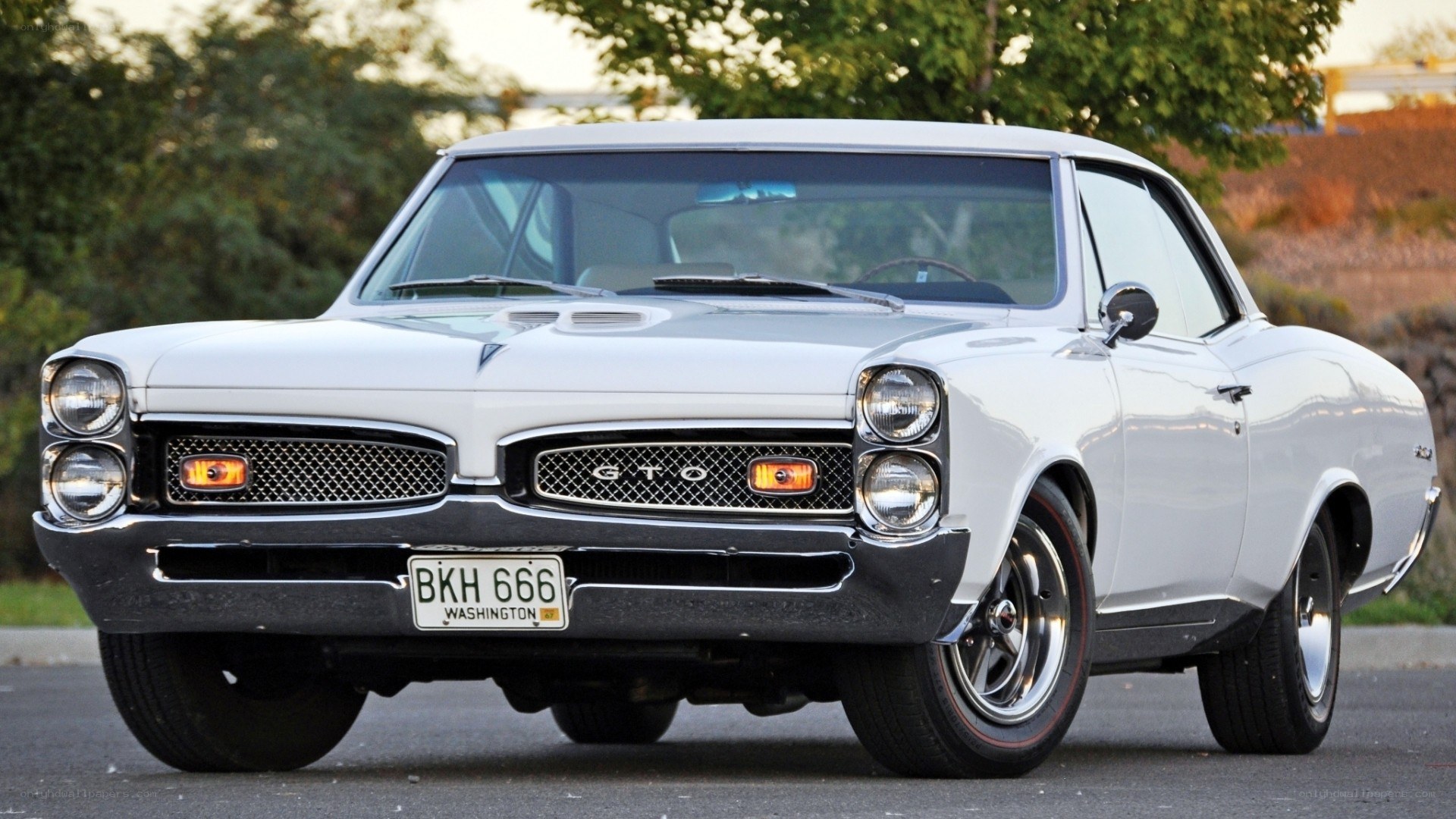 White GTO muscle car