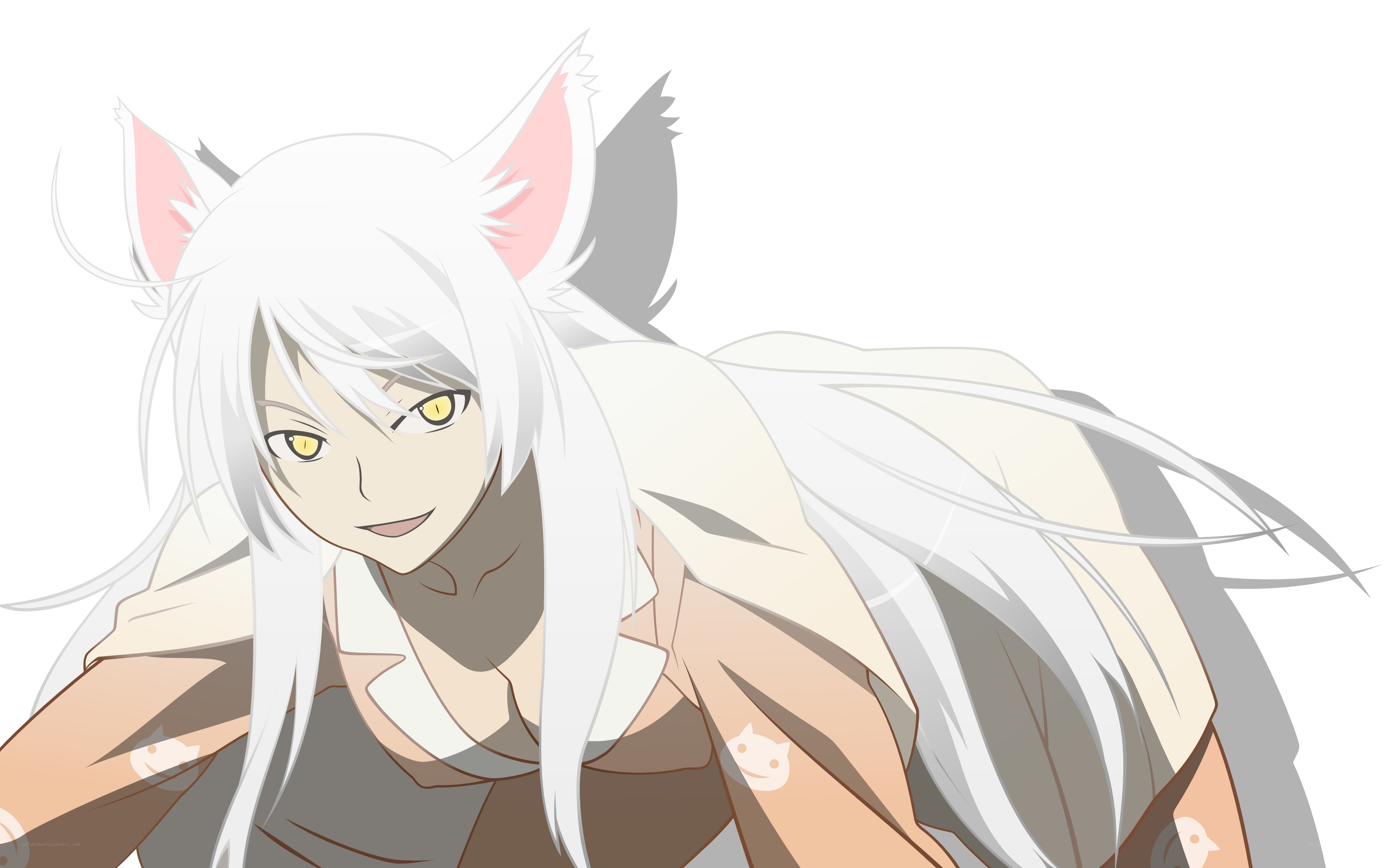 white-haired anime character with cat ears