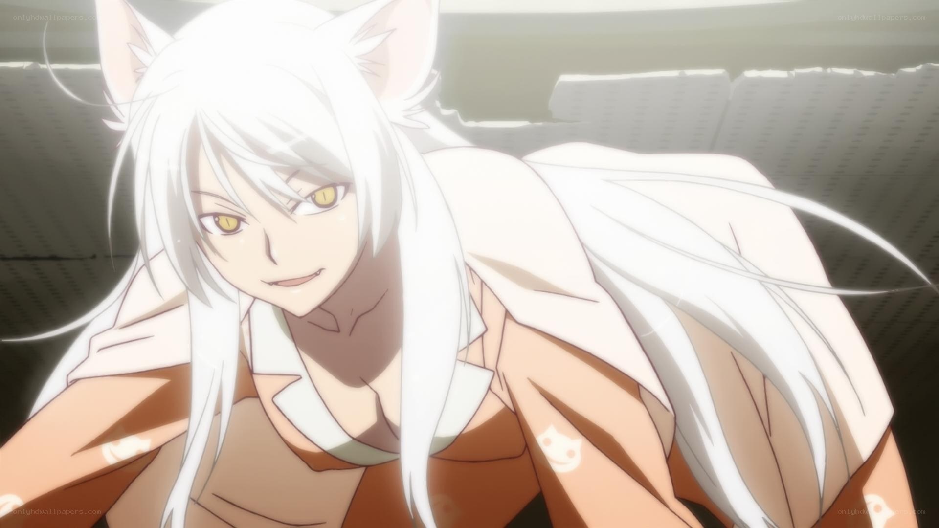 white-haired anime character with cat ears