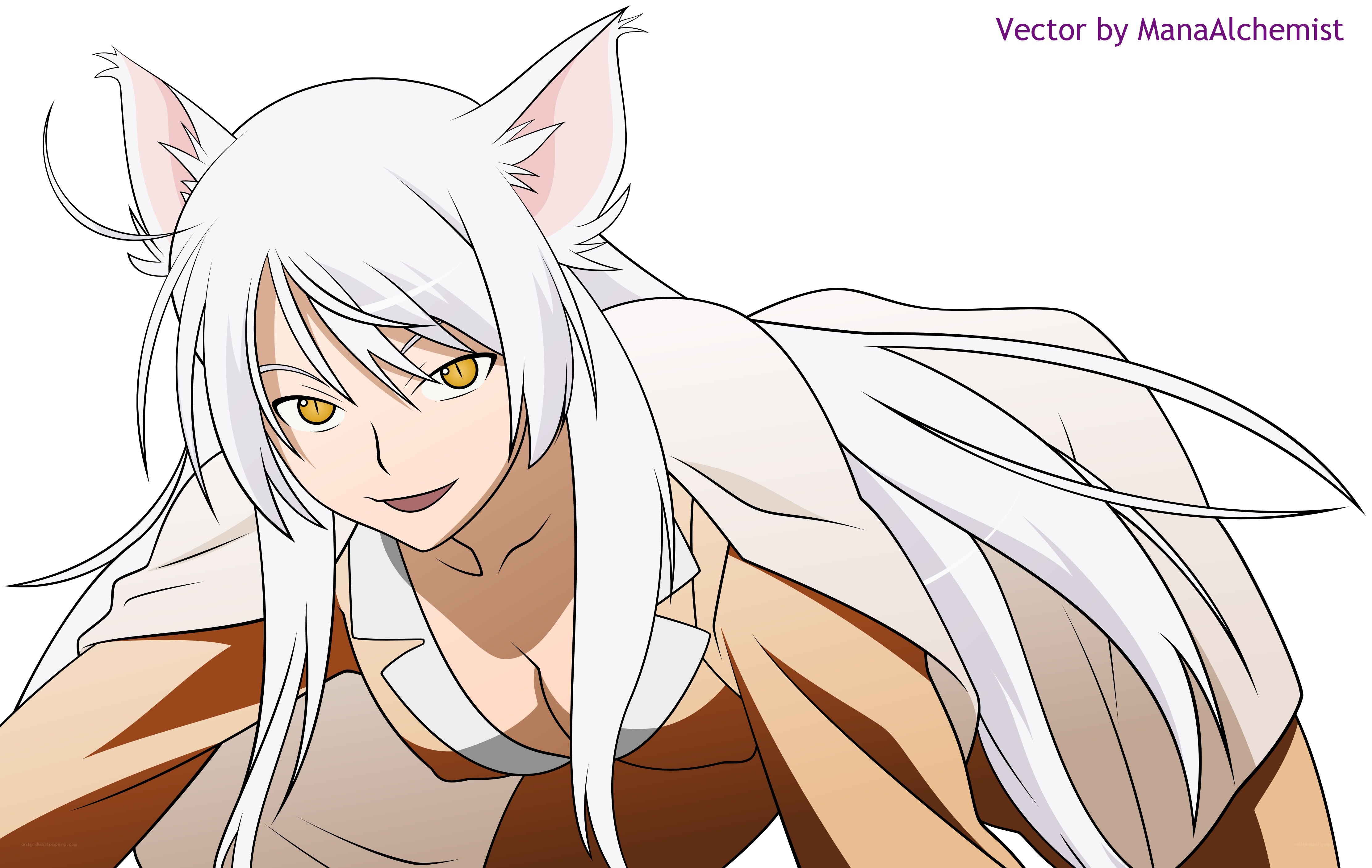 white-haired anime character with cat ears