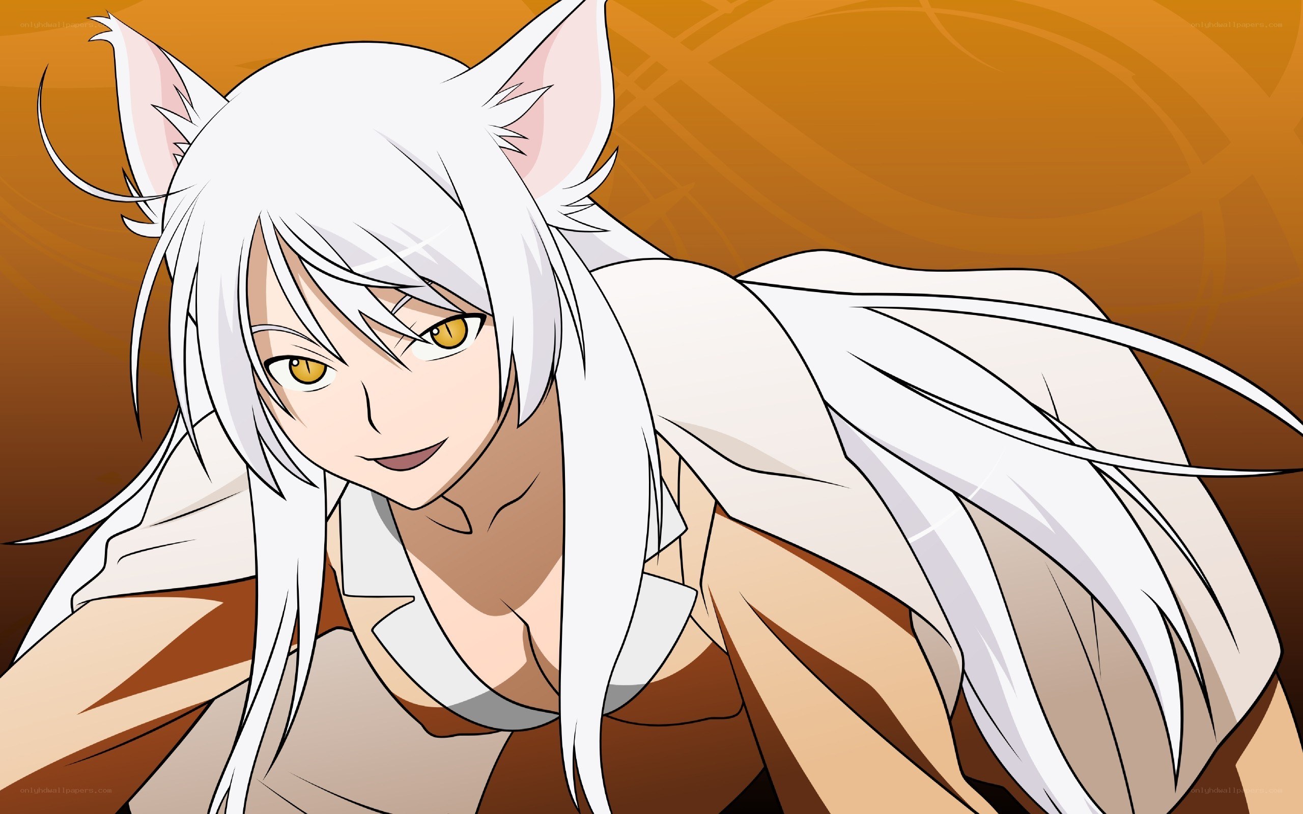 white-haired anime character with cat ears