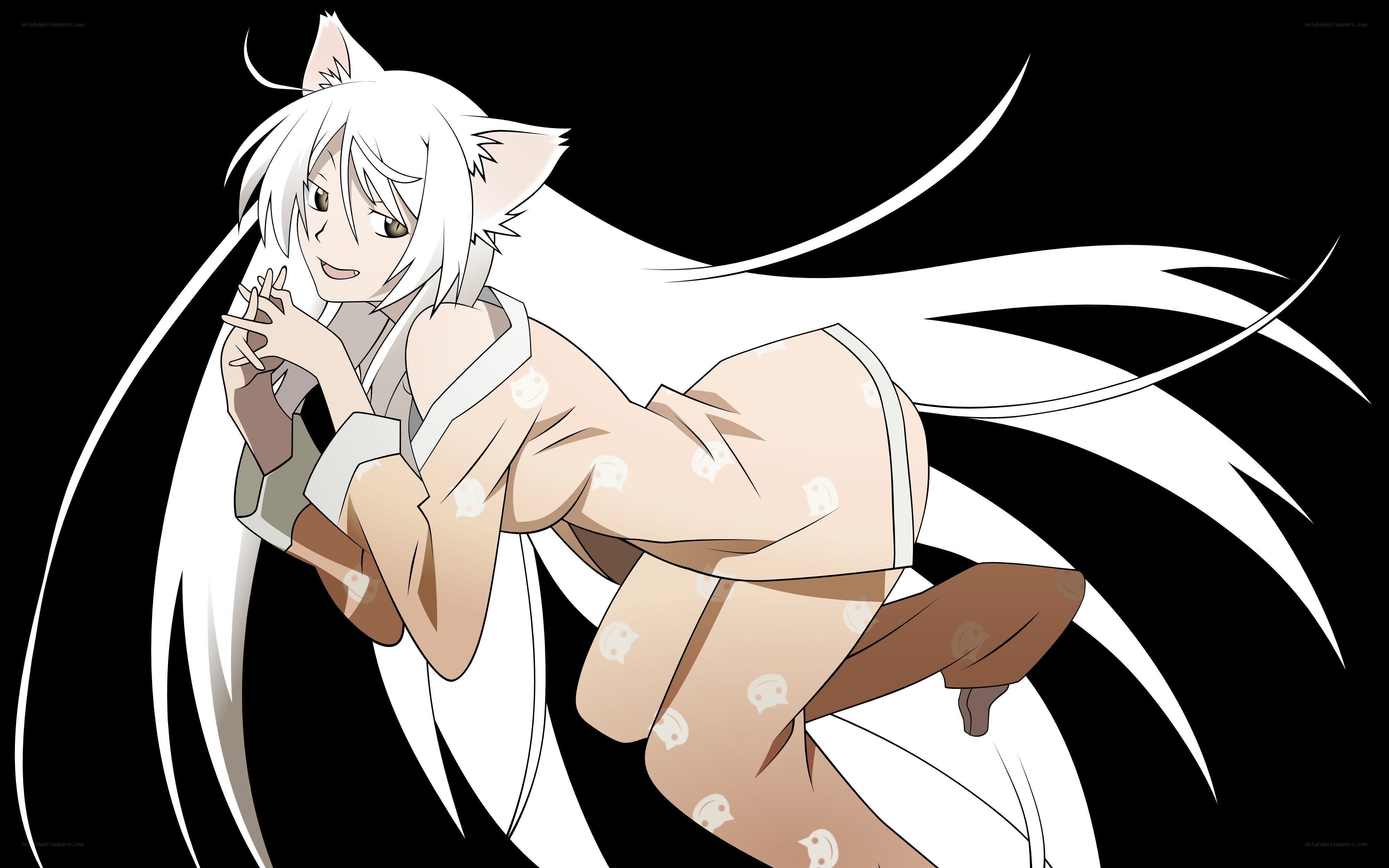 white-haired anime character with cat ears