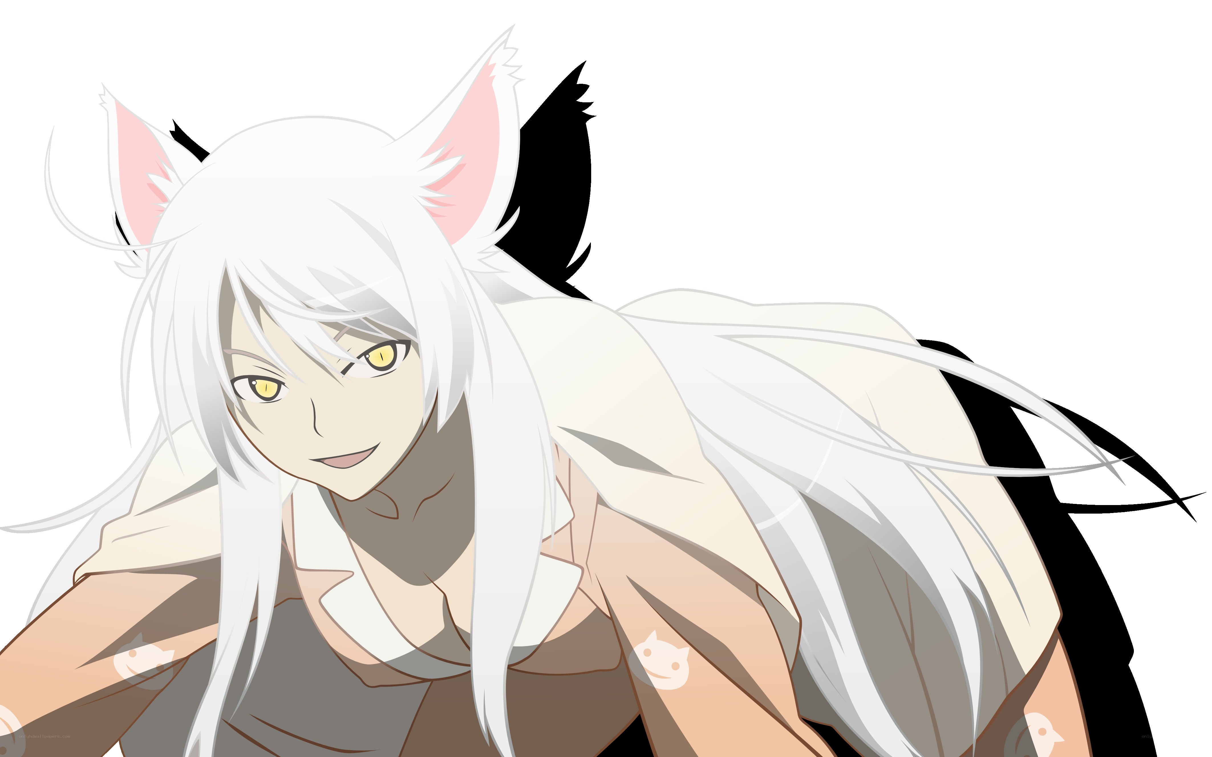 white-haired anime character with cat ears
