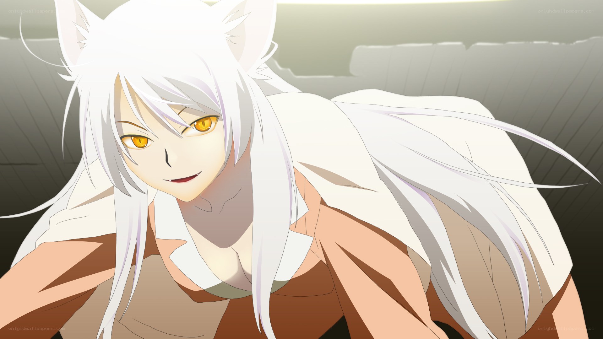 white-haired anime character with fox ears
