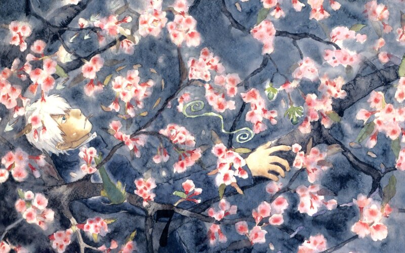 White-haired Boy in Cherry Blossoms