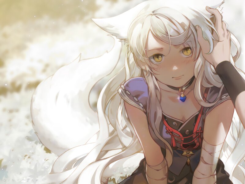 White-haired Fox Girl — White, Calm, Anime