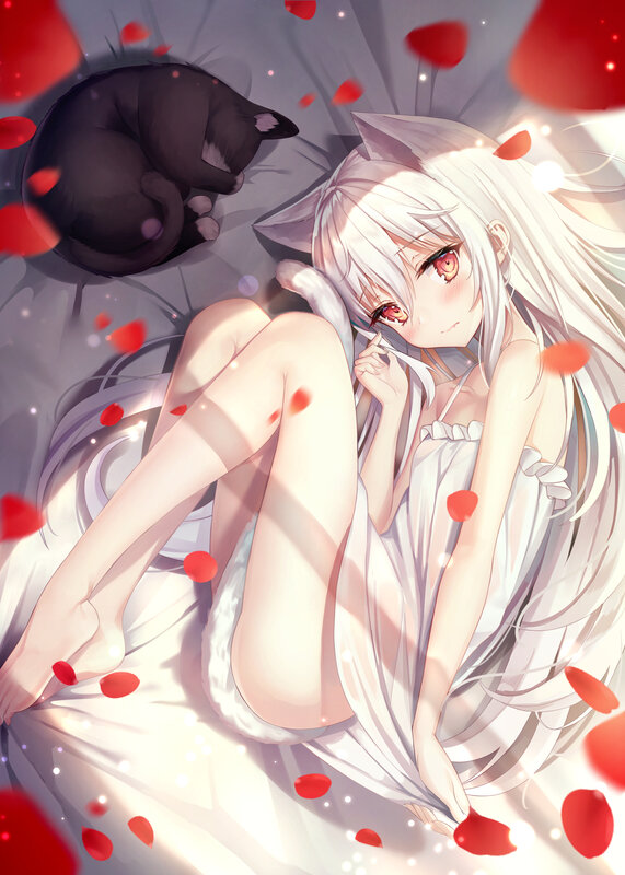 White-haired Girl with Cat — White, Serene