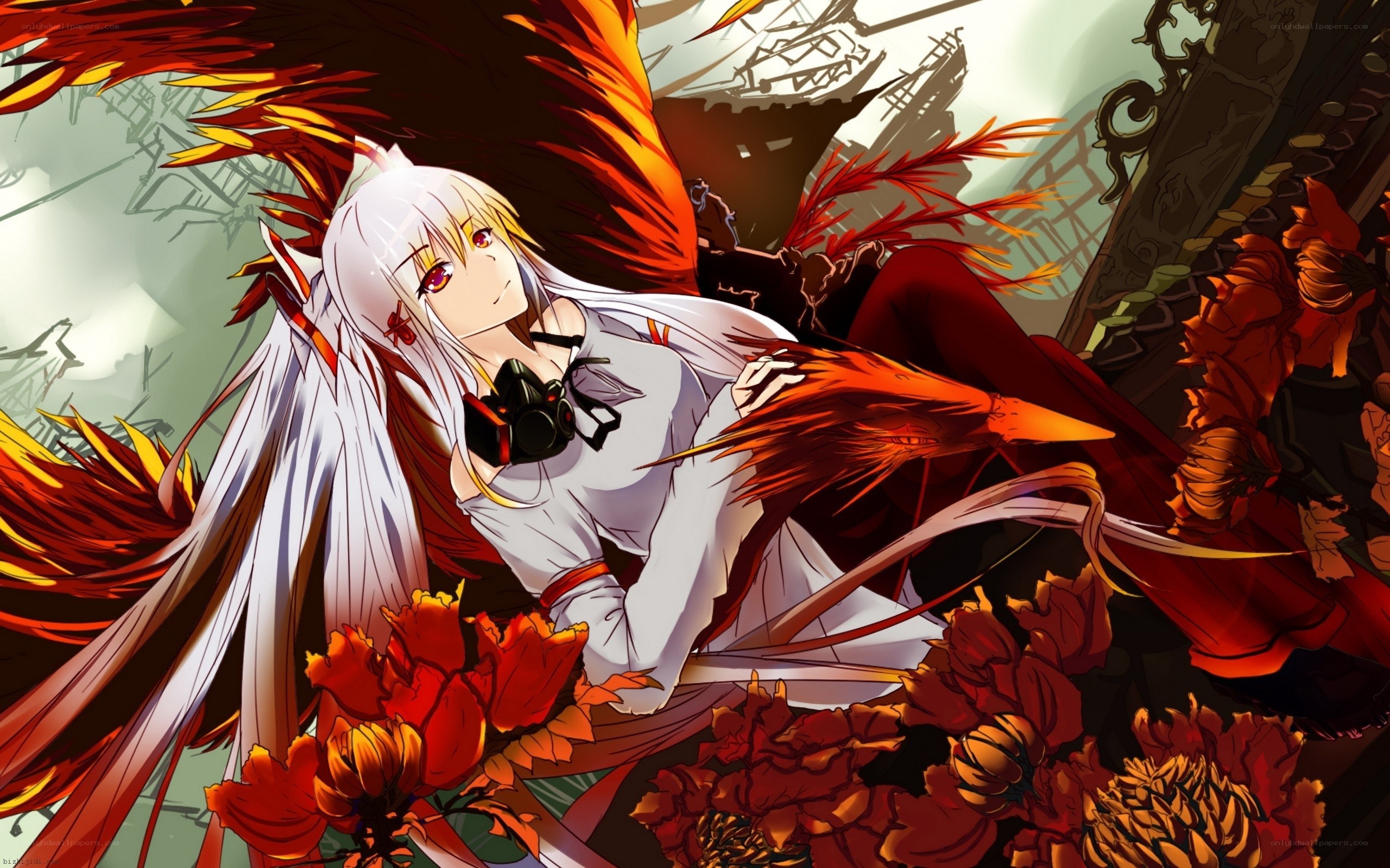 white-haired girl with phoenix wings