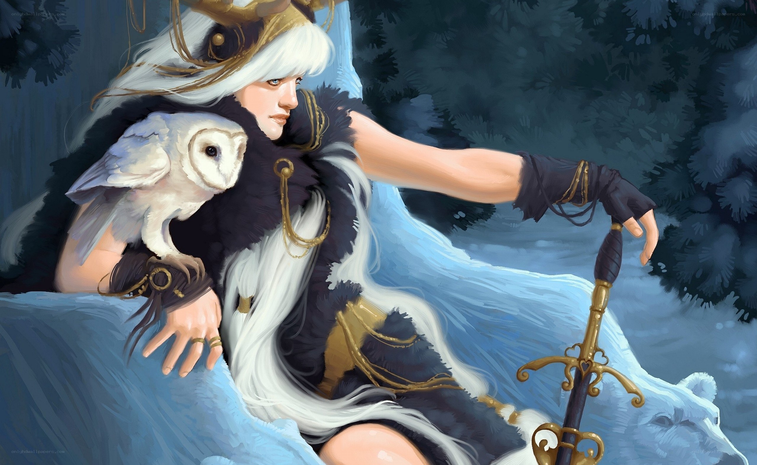 white-haired warrior with owl