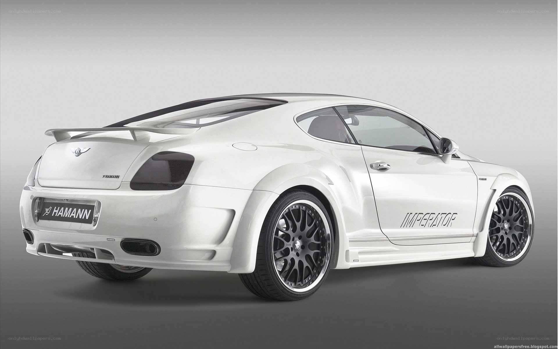 white hamann bentley coupe