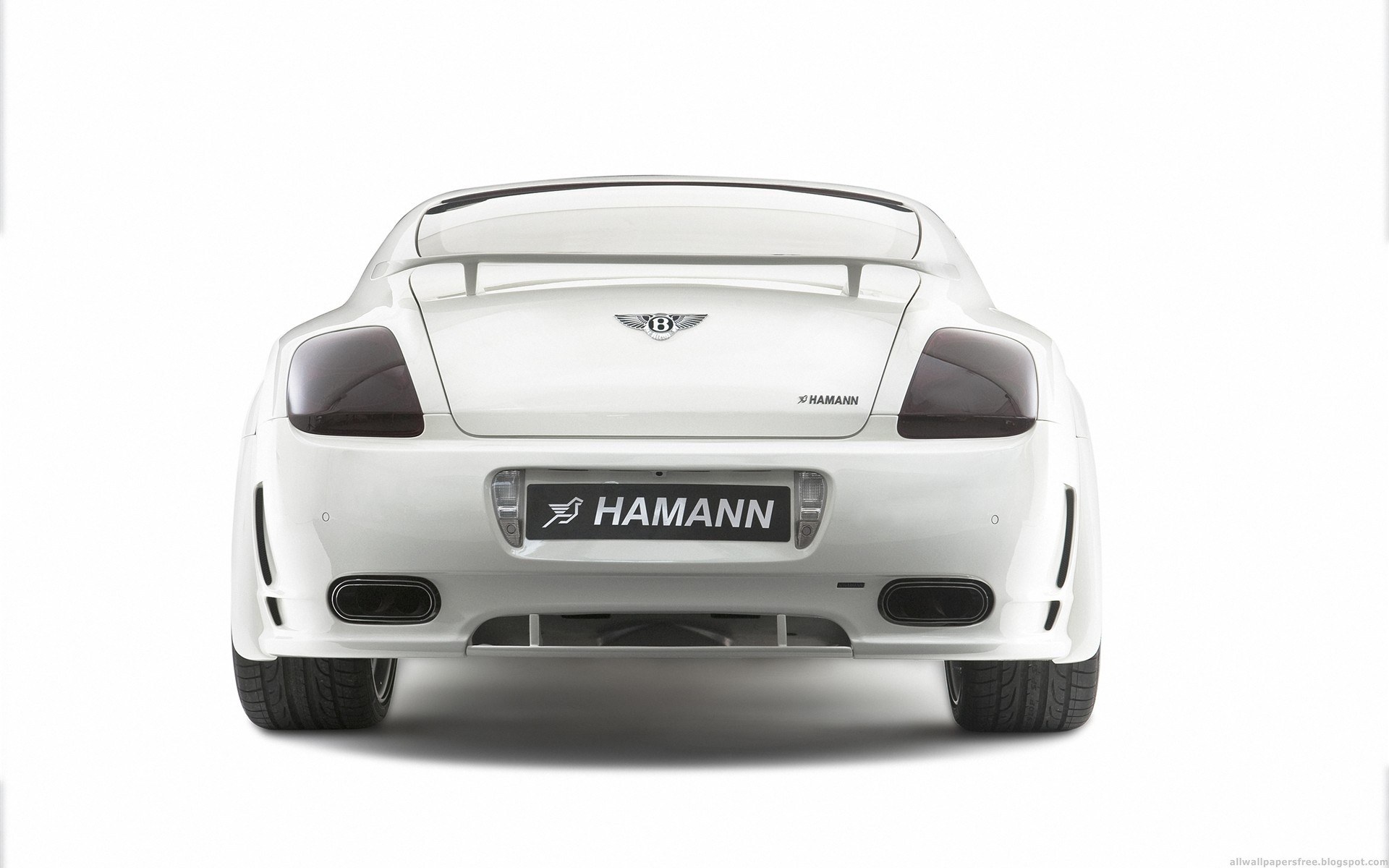white hamann bentley rear view