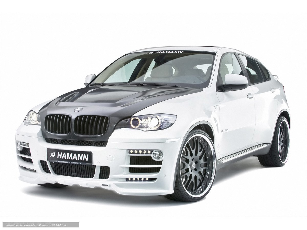 white hamann bmw x6