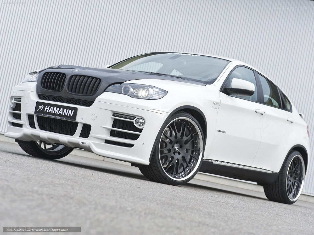 white hamann bmw x6