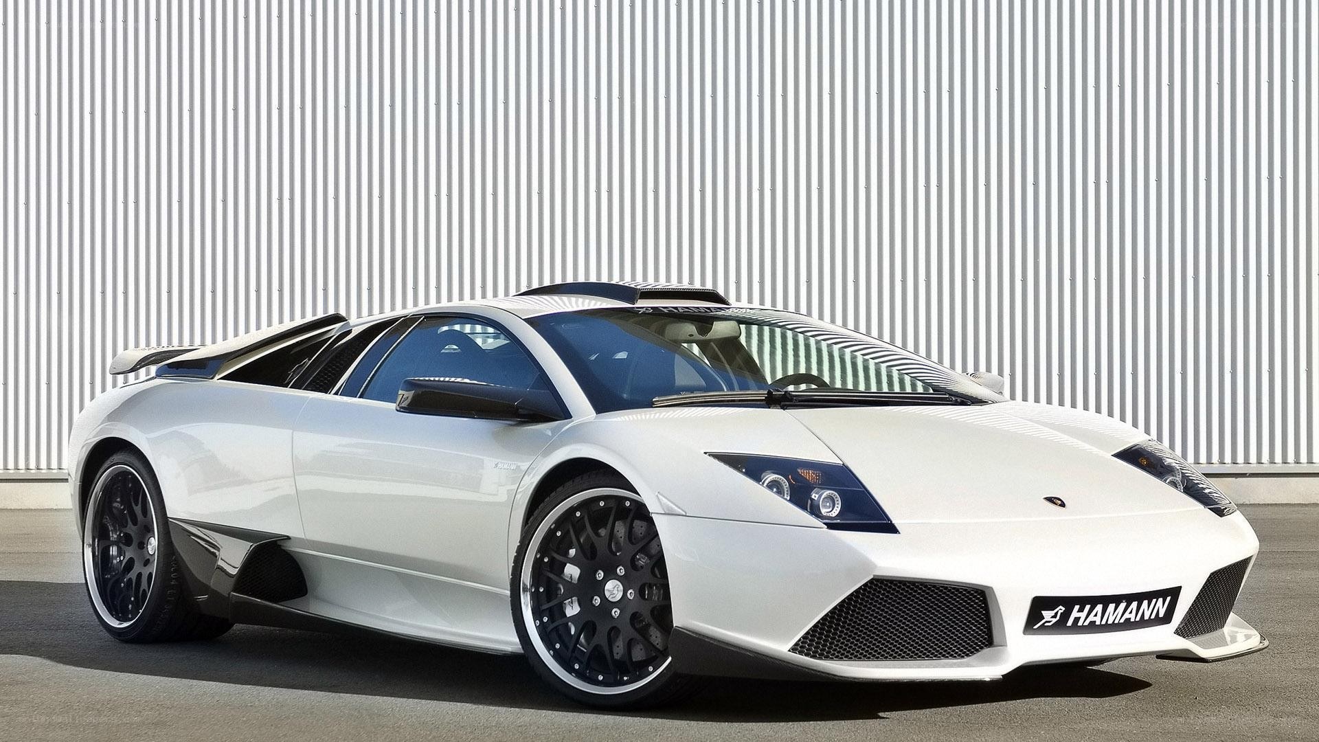 white hamann lamborghini murcielago
