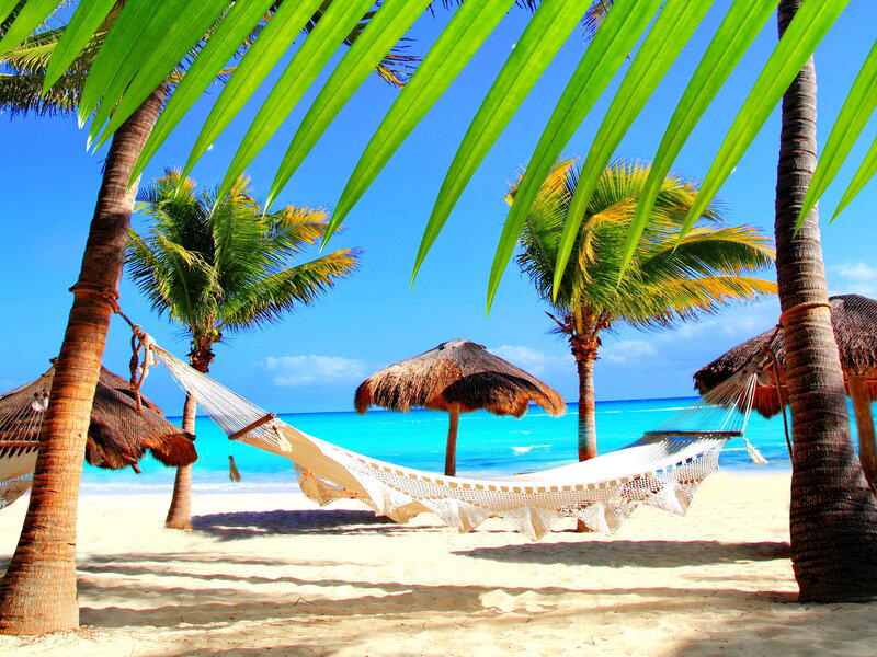 White Hammock on Beach — Blue, Serene, Afternoon