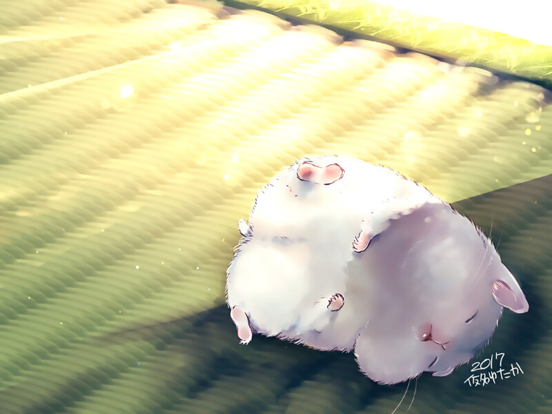 White Hamster Sleeping