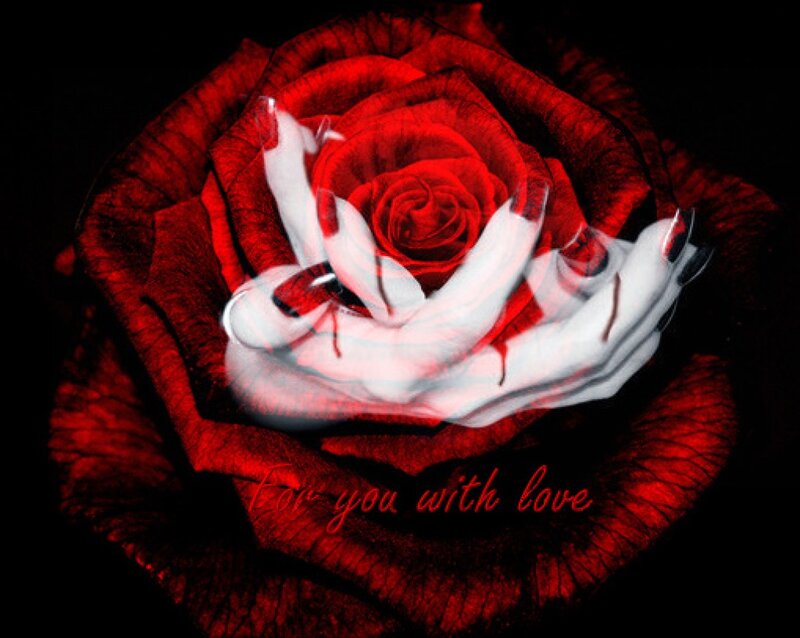 White Hand in Red Rose