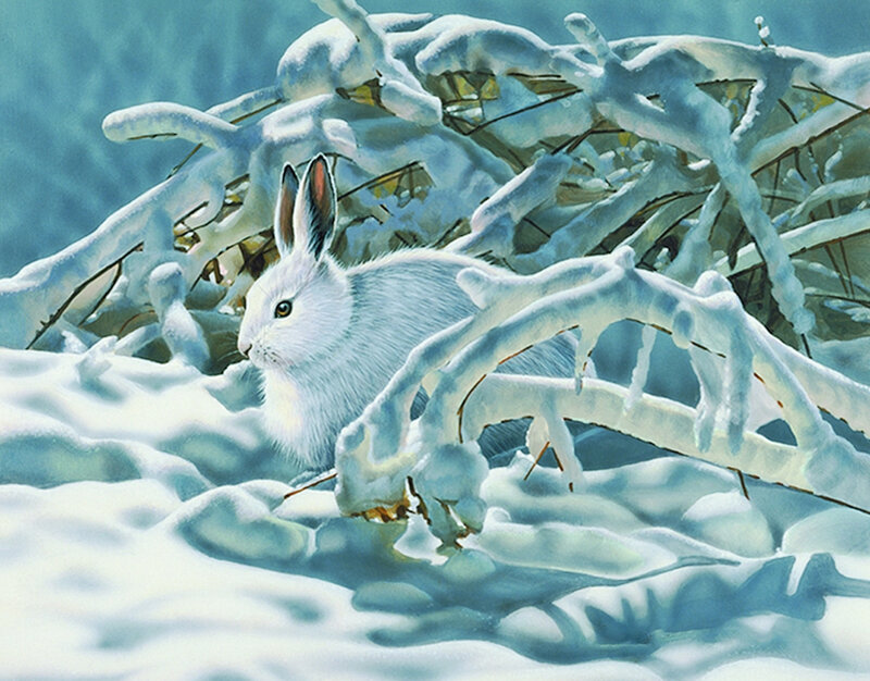 White Hare in Snow — Calm, Winter, Painting