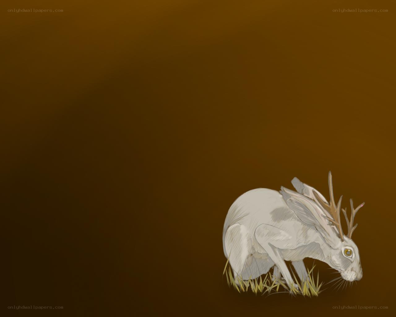 white hare with antlers