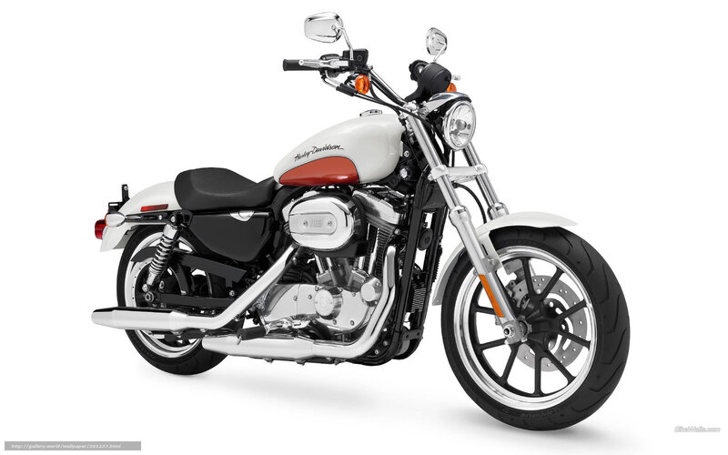 White Harley-Davidson motorcycle