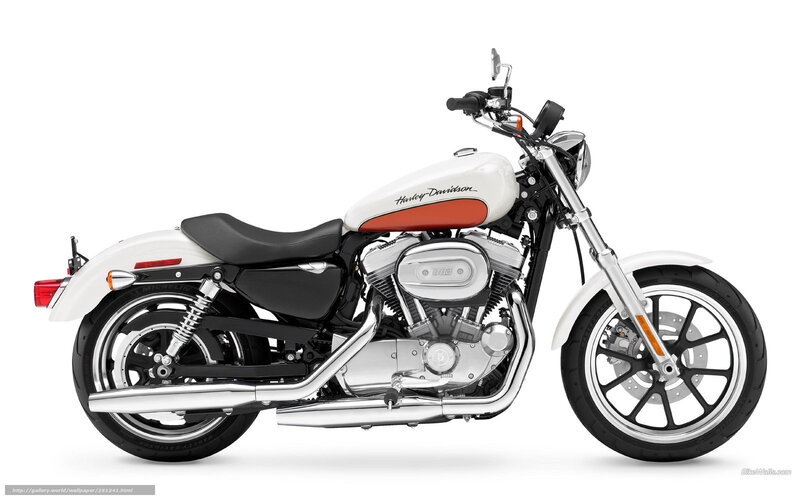 White Harley-davidson Motorcycle — Neutral, Photograph, Seat, Engine