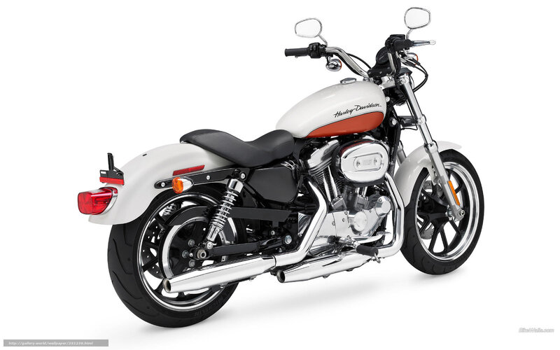 White Harley-davidson Motorcycle — Neutral, Photograph, Seat, Exhaust Pipes