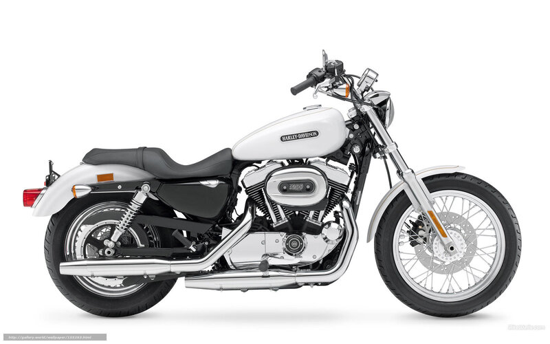 White Harley-davidson Motorcycle — Neutral, Photograph, Seat