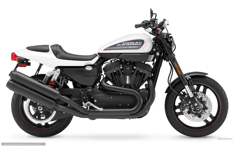 White Harley-davidson Motorcycle — Neutral