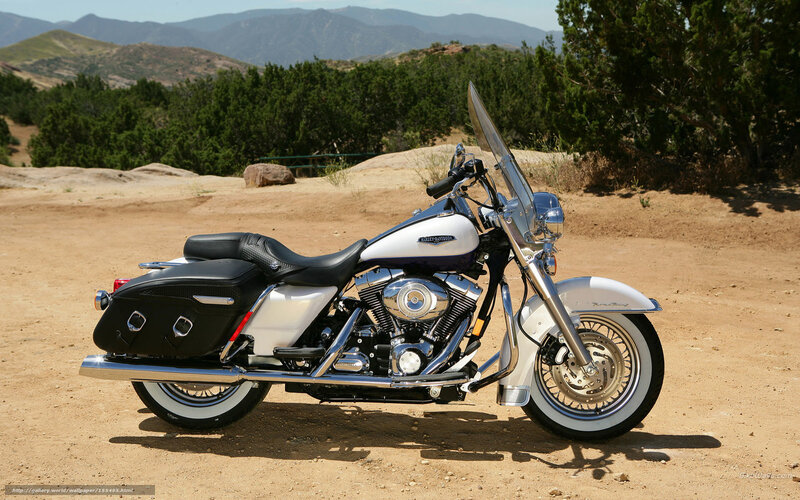 White Harley-davidson Motorcycle — Serene, Afternoon, Photograph