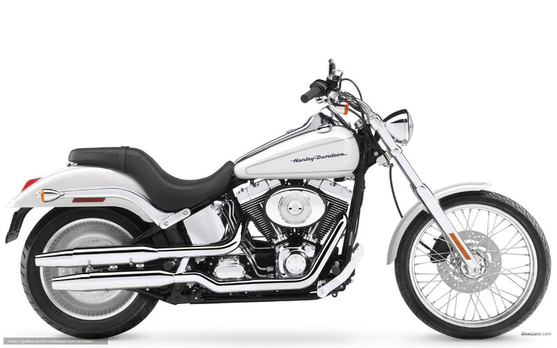 White Harley-Davidson motorcycle