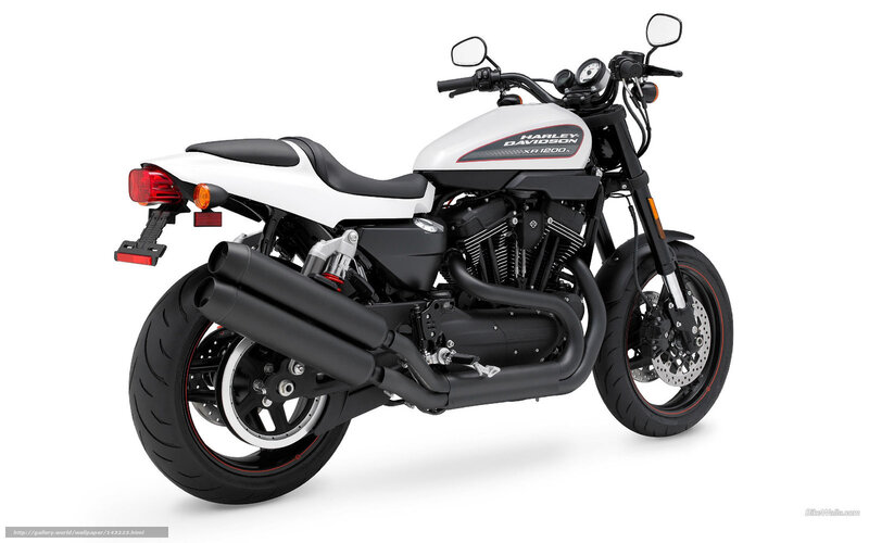 White Harley-Davidson XR1200X