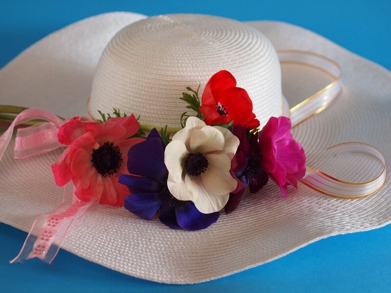 White Hat with Flowers — Calm