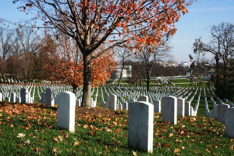 White Headstones in Cemetery — Green, Serene