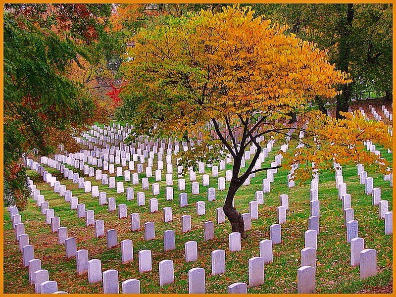 White Headstones in Cemetery