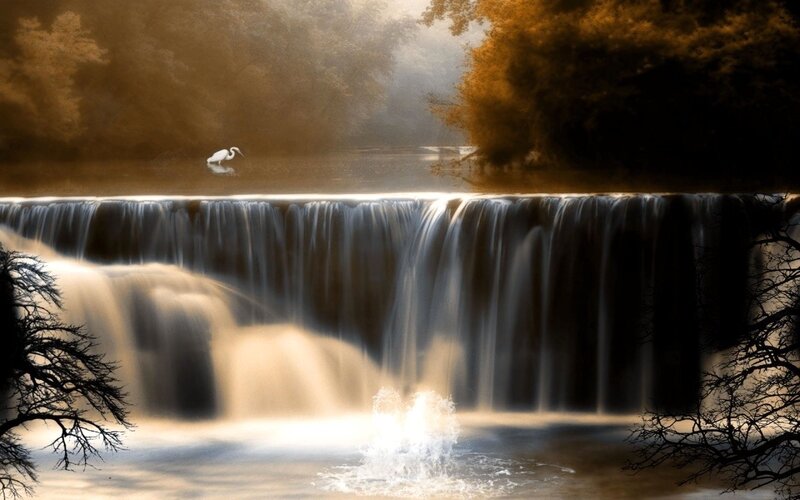 White Heron at Waterfall — Brown, Serene, Sunset