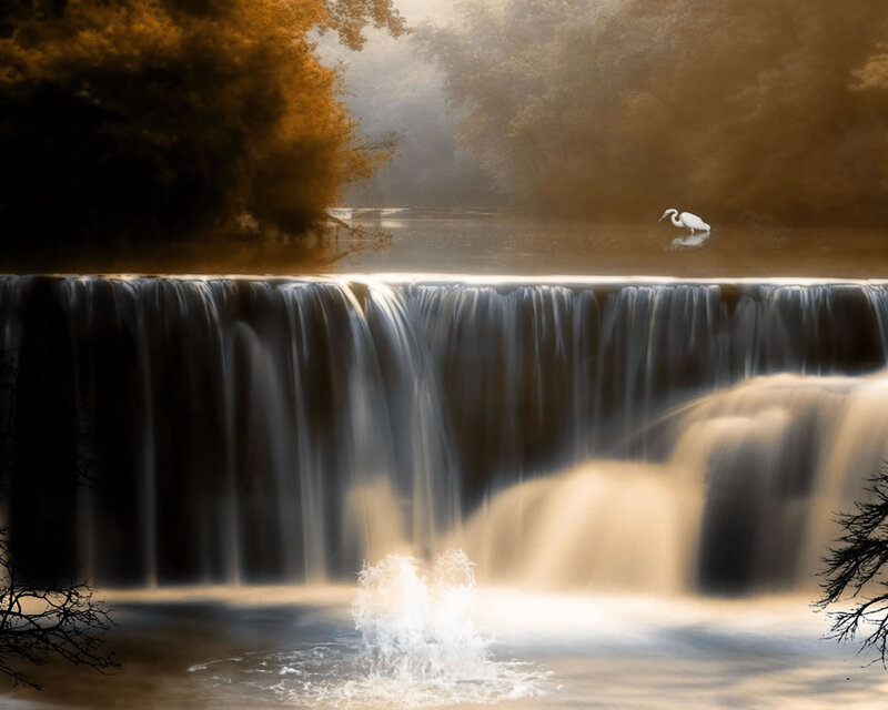 White Heron at Waterfall — Brown