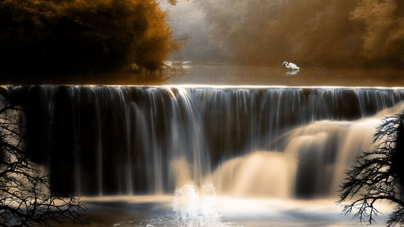 White Heron at Waterfall