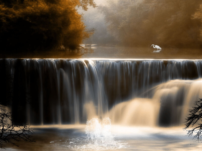 White Heron by Waterfall