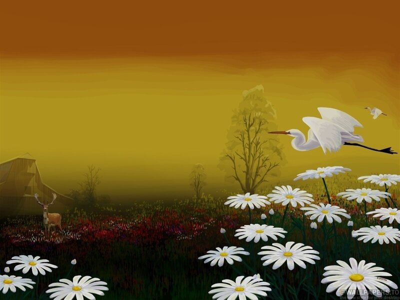 White Heron Flying over Field