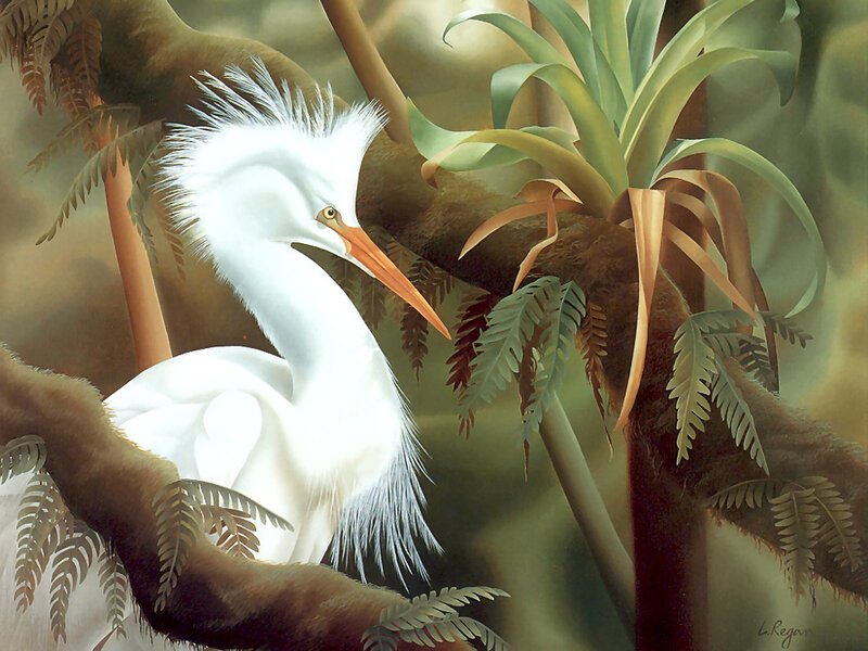 White Heron in Forest — Serene