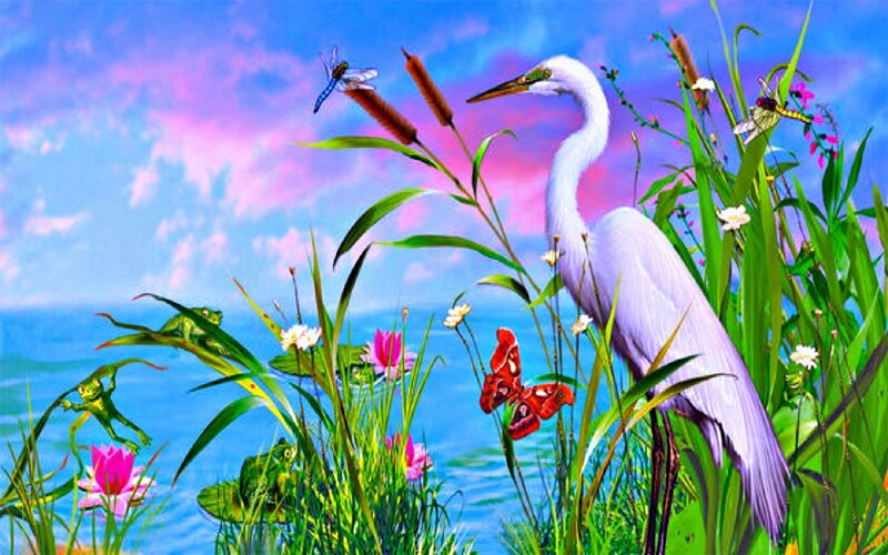 White Heron in Marsh — Blue