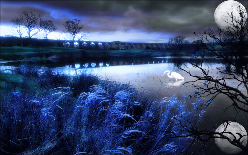 White Heron in Water — Blue, Dramatic